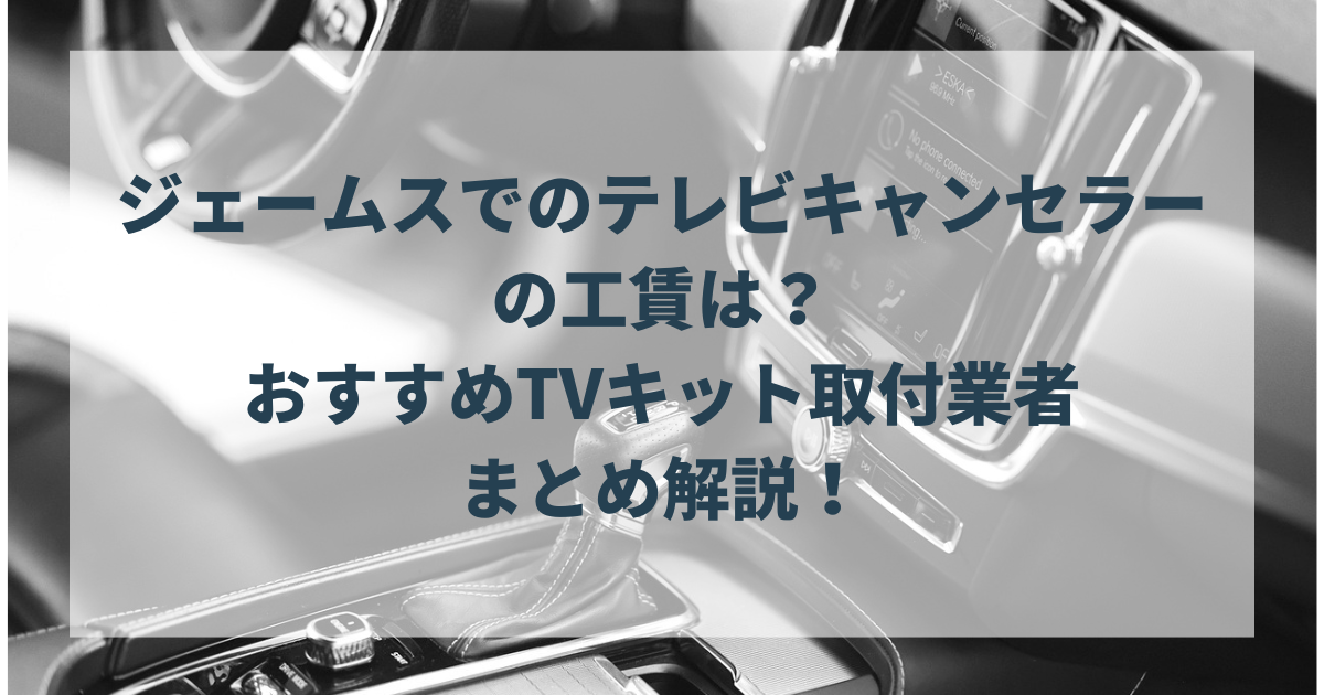 ジェームスでのテレビキャンセラーの工賃は？おすすめTVキット取付業者 