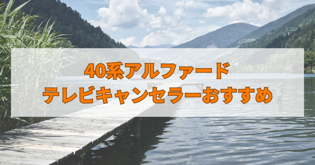 40系アルファードのテレビキャンセラーおすすめ