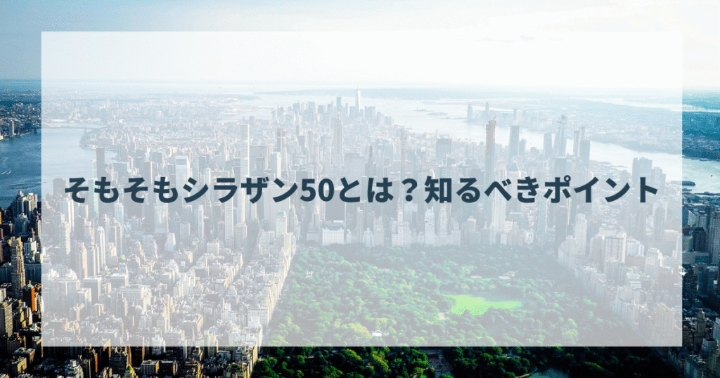 そもそもシラザン50とは？知るべきポイント