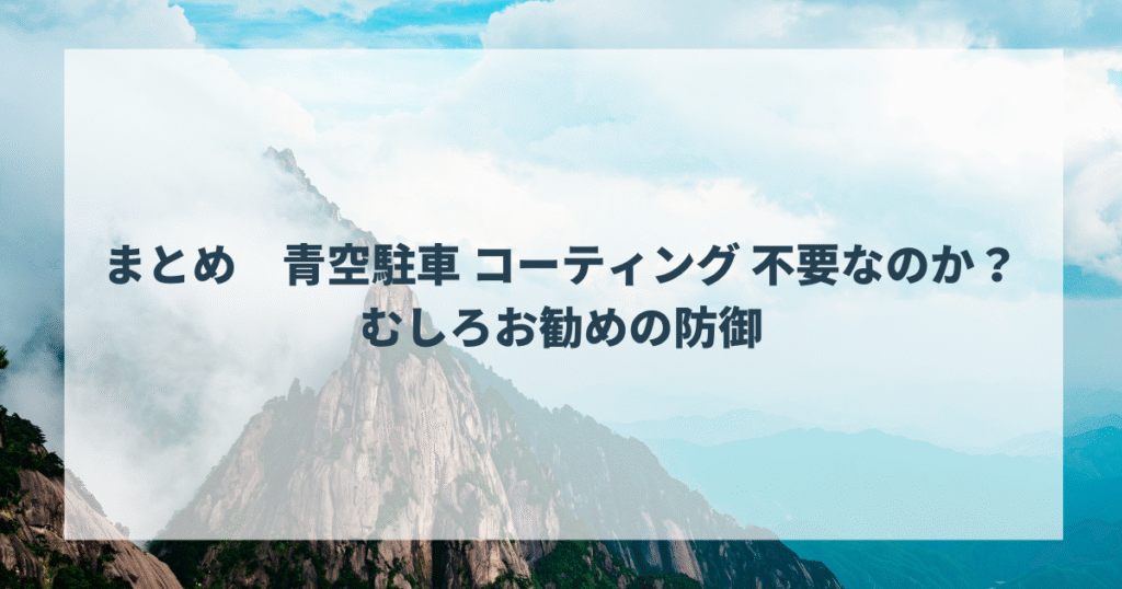 まとめ　青空駐車 コーティング 不要なのか？むしろお勧めの防御